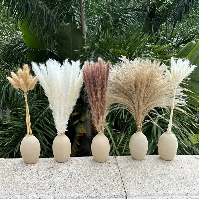 Reliable 150PCS Pampas Grass Boho HomeDecor Dried Flowers-Pampas Grass Contains Bunny White Pampas Brown Pa
Reliable 150PCS Pampas Grass Boho HomeDecor Dried Flowers-Pampas Grass Contains Bunny White Pampas Brown Pa
