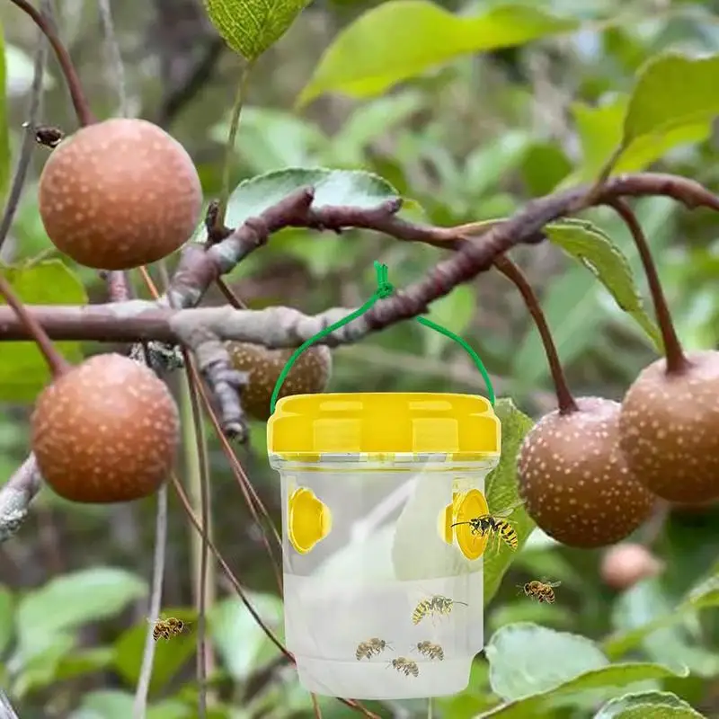 Wasp Trap Household Fly Catcher Yellow Jacket Catching Device Animal Control Gadget Secure Solution For Orchard Farm
Wasp Trap Household Fly Catcher Yellow Jacket Catching Device Animal Control Gadget Secure Solution For Orchard Farm