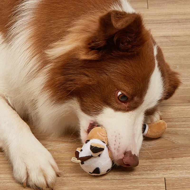 Игрушка для собак B Pet: жевательная, в форме животного, устойчивая к укусам, для дрессировки, плюшевая, для маленьких, средних и крупных собак, прочная - А
Игрушка для собак B Pet: жевательная, в форме животного, устойчивая к укусам, для дрессировки, плюшевая, для маленьких, средних и крупных собак, прочная - А