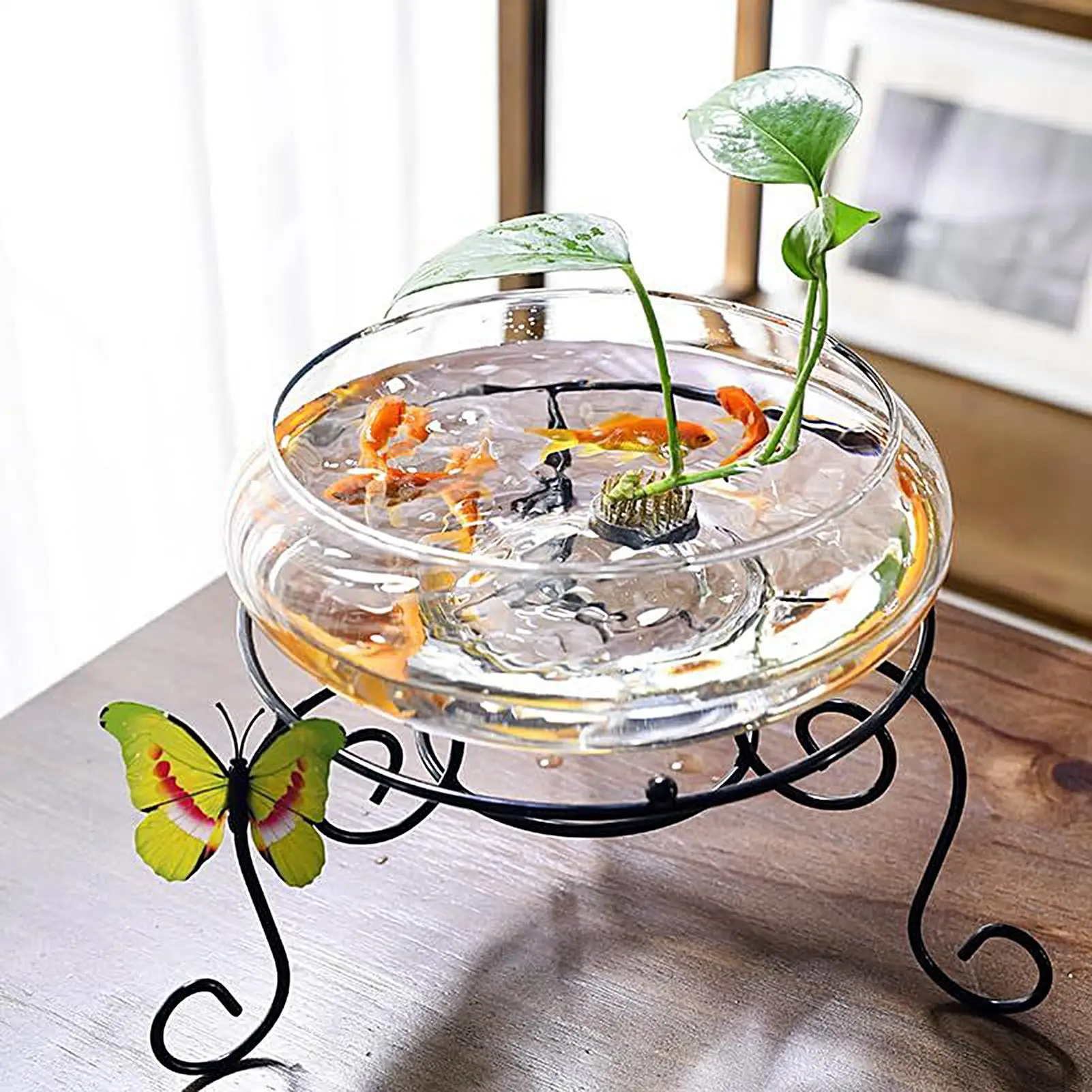 25cm Glass Hydroponics Bowl Shallow Round Wide Plants Pot Large Fish Bowl Indoor Bonsai Flower Succulents Lotus Planting Tool
25cm Glass Hydroponics Bowl Shallow Round Wide Plants Pot Large Fish Bowl Indoor Bonsai Flower Succulents Lotus Planting Tool