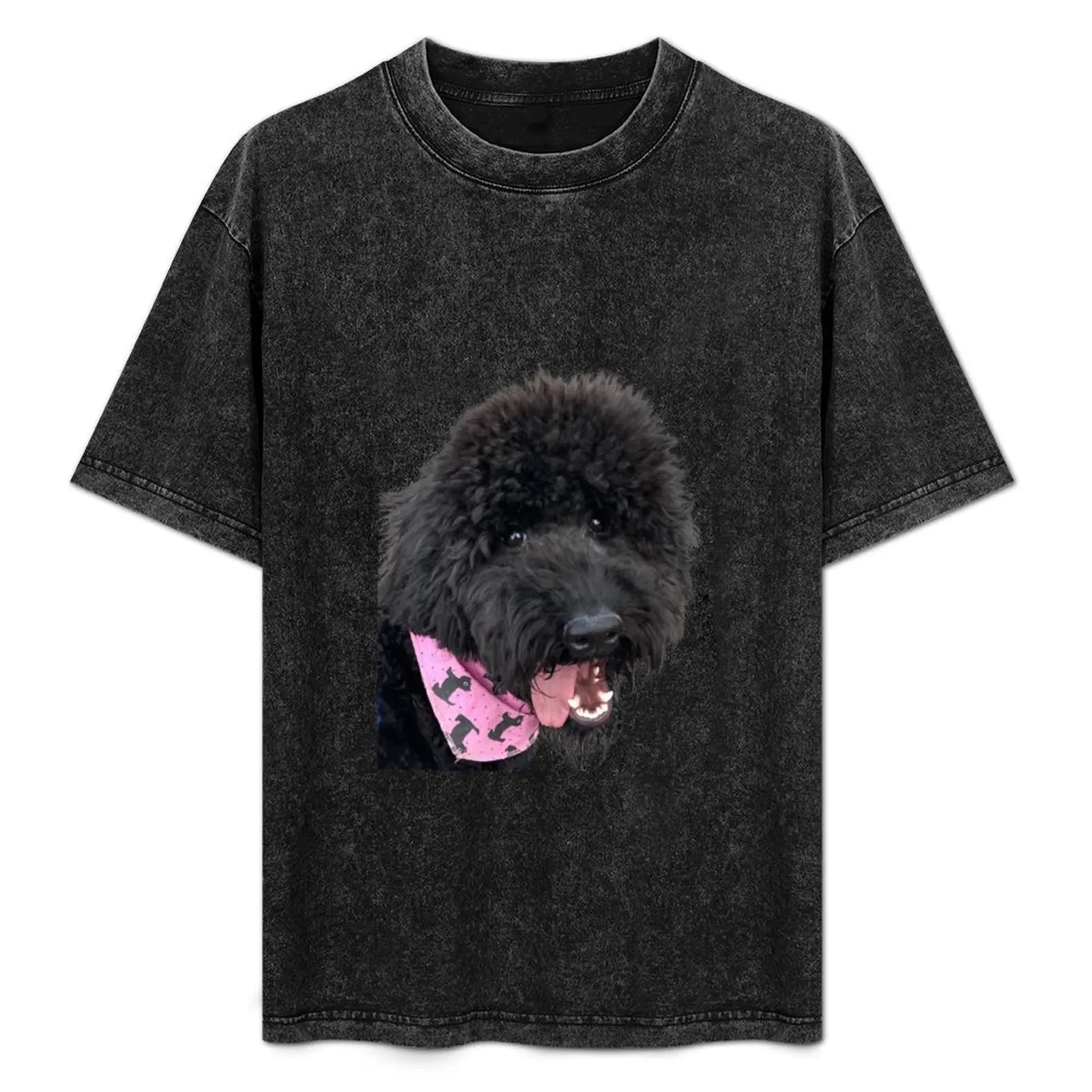 Black Goldendoodle | dog lover T-Shirt Casual Everyday Wear T-Shirt
Black Goldendoodle | dog lover T-Shirt Casual Everyday Wear T-Shirt