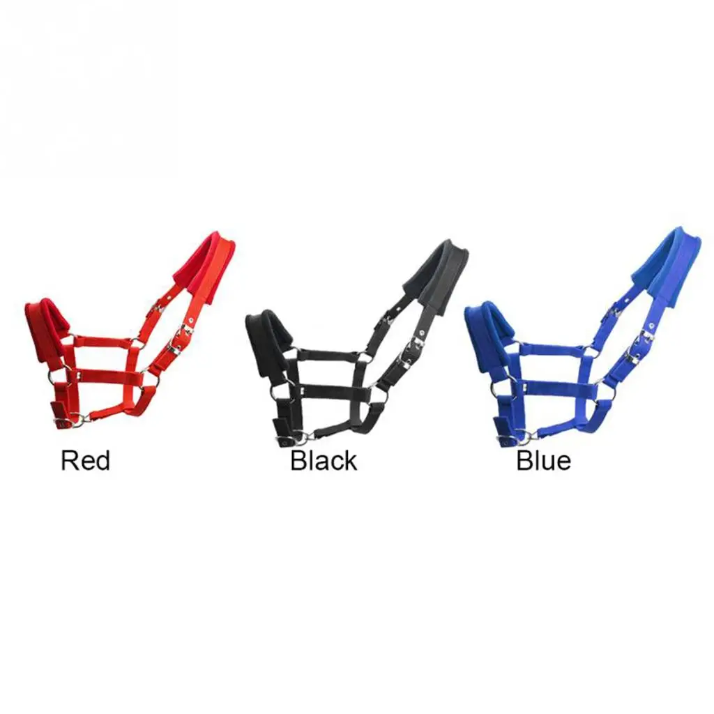 Adjustable Padded Nylon Horse Halter Headstall Bridle Strap for Equestrian Horse Supplies Saddle Accessories for Ponys
Adjustable Padded Nylon Horse Halter Headstall Bridle Strap for Equestrian Horse Supplies Saddle Accessories for Ponys