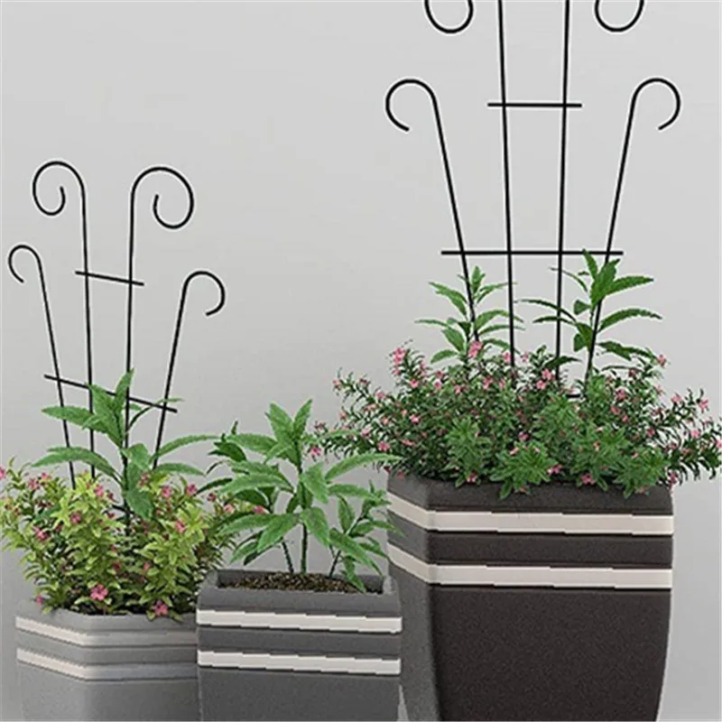 Tree Garden Plant Support Plant Care For Plants Growth Stakes Plant Climbing Support Frame Trellis Flowers Stand Cage
Tree Garden Plant Support Plant Care For Plants Growth Stakes Plant Climbing Support Frame Trellis Flowers Stand Cage