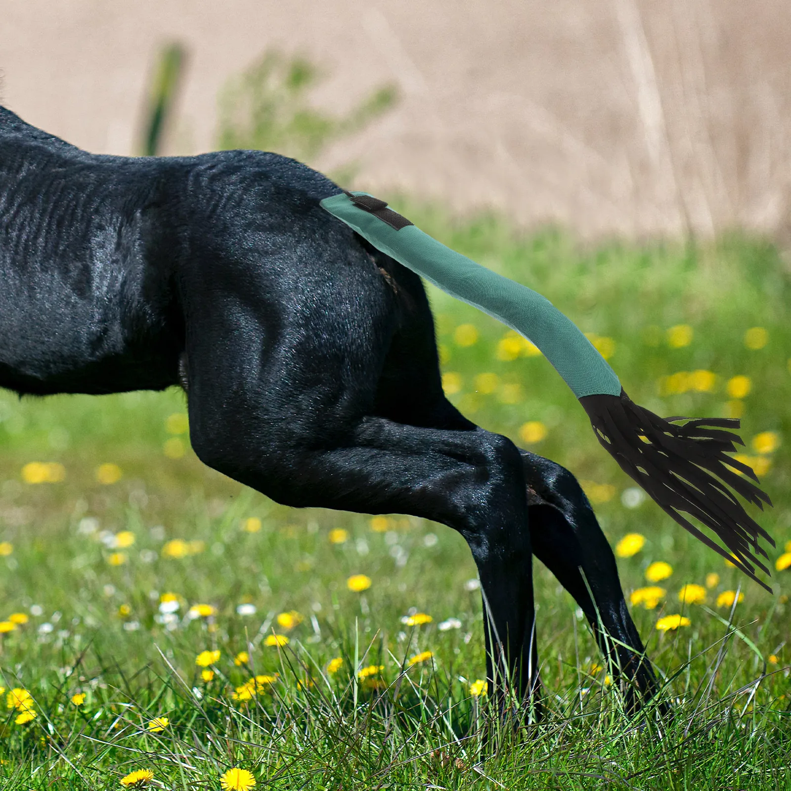 Premium Horse Tail Protector Cover Reusable Non Woven Fabric Strong Tear Resistant for Horse Cattle Tail Safety Grooming
Premium Horse Tail Protector Cover Reusable Non Woven Fabric Strong Tear Resistant for Horse Cattle Tail Safety Grooming