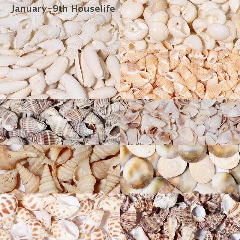 1 коробка, морские ракушки, спиральная ракушка, крошечные океанские спиральные ракушки, ремесла, декор для аквариума, аксессуары для ландшафтного дизайна
1 коробка, морские ракушки, спиральная ракушка, крошечные океанские спиральные ракушки, ремесла, декор для аквариума, аксессуары для ландшафтного дизайна