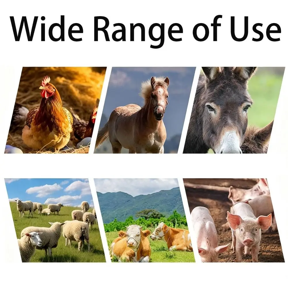 Новый диск для удаления волос свиньи с 7/9 передачами, экономичный многофункциональный скребок для волос свиньи, диск из нержавеющей стали для удаления волос свиней
Новый диск для удаления волос свиньи с 7/9 передачами, экономичный многофункциональный скребок для волос свиньи, диск из нержавеющей стали для удаления волос свиней