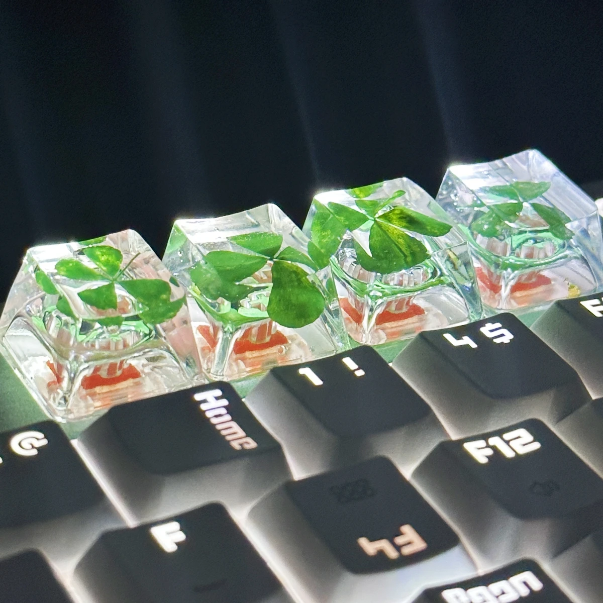 Transparency Genuine Four-leaf Clover Resin Cross-axis Mechanical Keyboard key caps
Transparency Genuine Four-leaf Clover Resin Cross-axis Mechanical Keyboard key caps