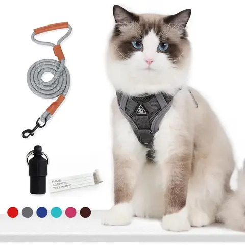 Arnés para perros NoPull, arnés ajustable para mascotas con 2 Clips de correa, chaleco reflectante transpirable de malla suave para perros + correa, chaleco para mascotas NoChoke