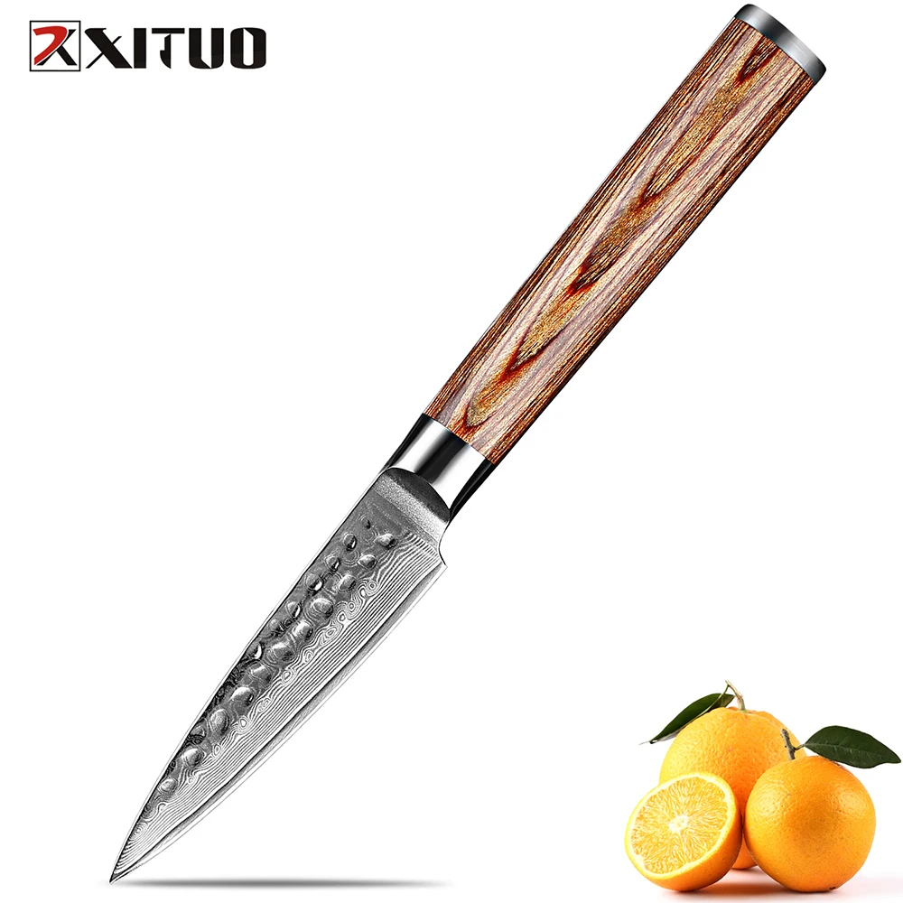 Damascus Paring Knife 3.5 Inch Ultra Sharp Japanese Kitchen Fruit Knife 67 Layers Damascus Hammered Steel Blade Ergonomic Handle
Damascus Paring Knife 3.5 Inch Ultra Sharp Japanese Kitchen Fruit Knife 67 Layers Damascus Hammered Steel Blade Ergonomic Handle