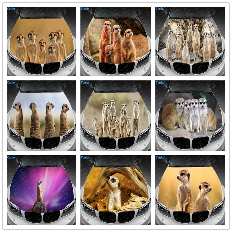 Animal Meerkat Car Hood Vinyl Stickers Wrap Vinyl Film Engine Cover Decals Sticker Car Auto Accessories
Animal Meerkat Car Hood Vinyl Stickers Wrap Vinyl Film Engine Cover Decals Sticker Car Auto Accessories