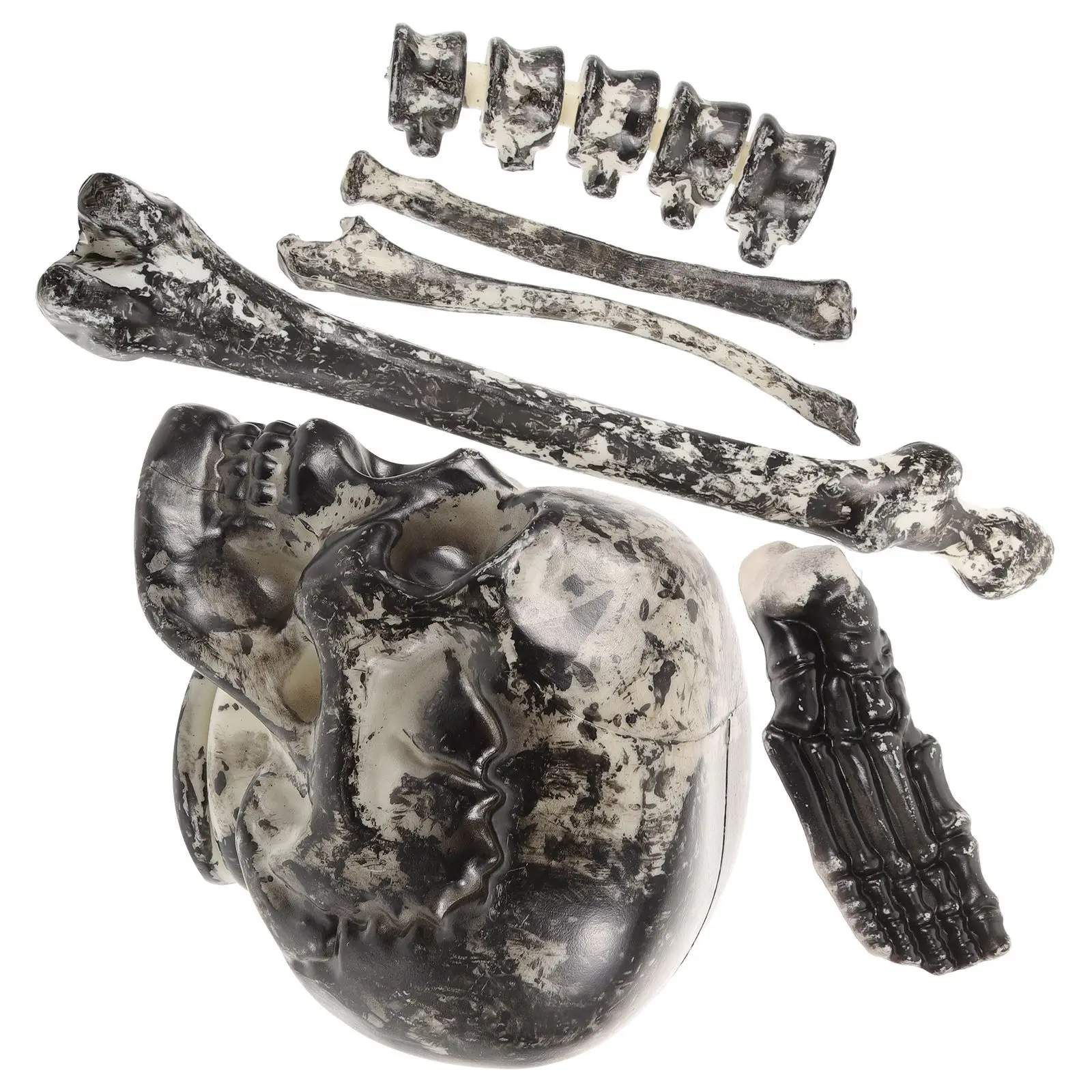 6PCS Realistic Bones Decor Halloween Prop Paintable Fake Skull Footbone Durability Plastic Creepy AtmosphereHaunted
6PCS Realistic Bones Decor Halloween Prop Paintable Fake Skull Footbone Durability Plastic Creepy AtmosphereHaunted