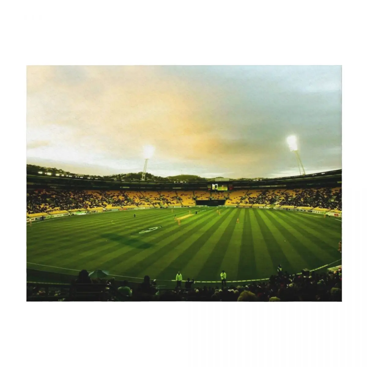 Cricket ground Throw Blanket Hair Camping christmas decoration warm winter Blankets 
Cricket ground Throw Blanket Hair Camping christmas decoration warm winter Blankets