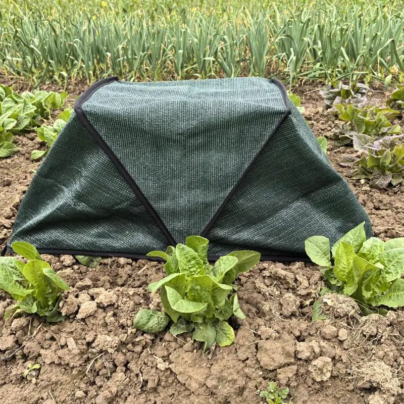 Garden Sun Shade Foldable Sun Shade Cloth Weather-Resistant Outdoor Canopy Gardening Supplies For Fruit Seedling Vegetable
Garden Sun Shade Foldable Sun Shade Cloth Weather-Resistant Outdoor Canopy Gardening Supplies For Fruit Seedling Vegetable