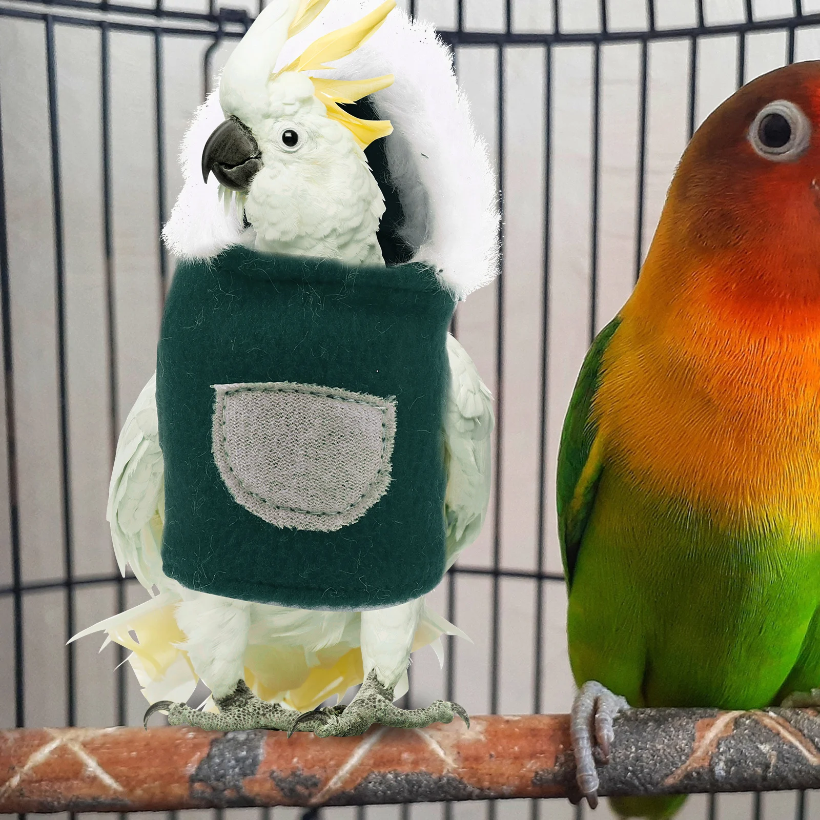 Xmas Bird Clothes Cute Parrot Clothing Reusable Stylish Small Animals Winter Apparel Frog Style Decor Bird Clothes
Xmas Bird Clothes Cute Parrot Clothing Reusable Stylish Small Animals Winter Apparel Frog Style Decor Bird Clothes