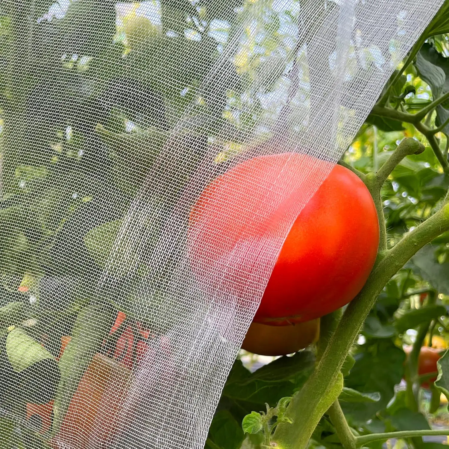 Ultra Fine Garden Mesh Netting 10x33ft - Keep Bugs Off Plants, Fruits & Vegetables - Durable, Reusable, Easy to Install
Ultra Fine Garden Mesh Netting 10x33ft - Keep Bugs Off Plants, Fruits & Vegetables - Durable, Reusable, Easy to Install