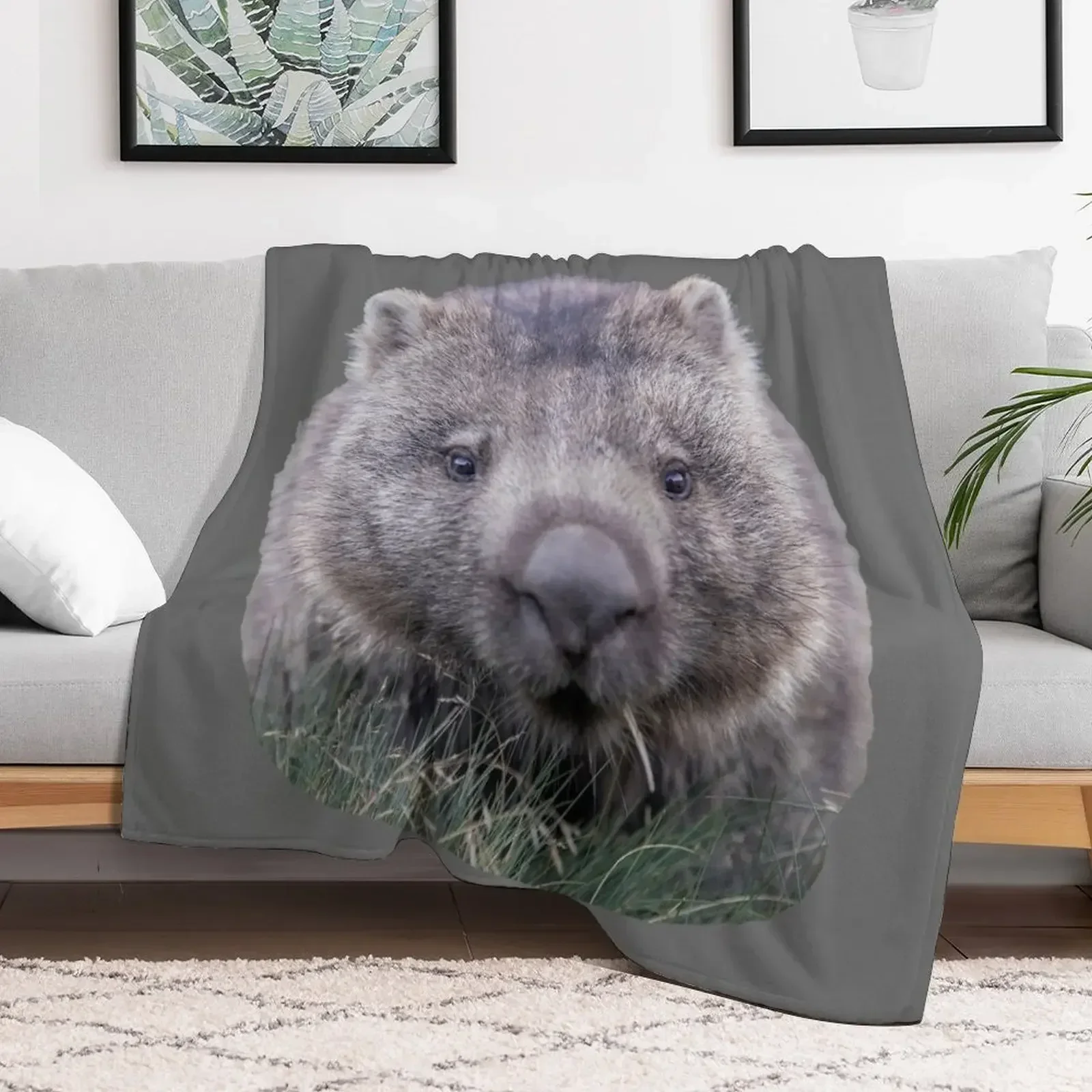 Wombat Throw Blanket Quilt Decorative Sofas blankets ands Soft Plush Plaid Blankets
Wombat Throw Blanket Quilt Decorative Sofas blankets ands Soft Plush Plaid Blankets