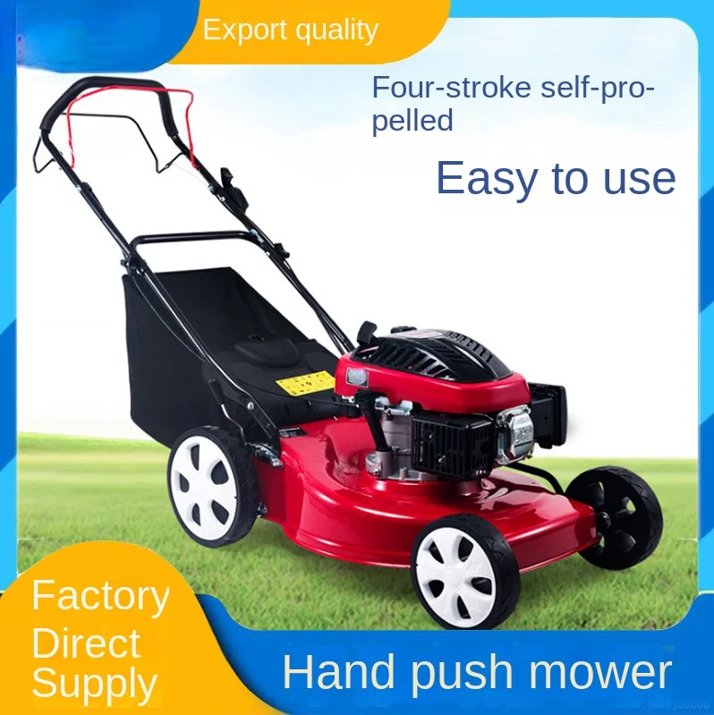 Четырехтактная косилка с ручным прижимом для парка строительства, обрезка газонов
Четырехтактная косилка с ручным прижимом для парка строительства, обрезка газонов