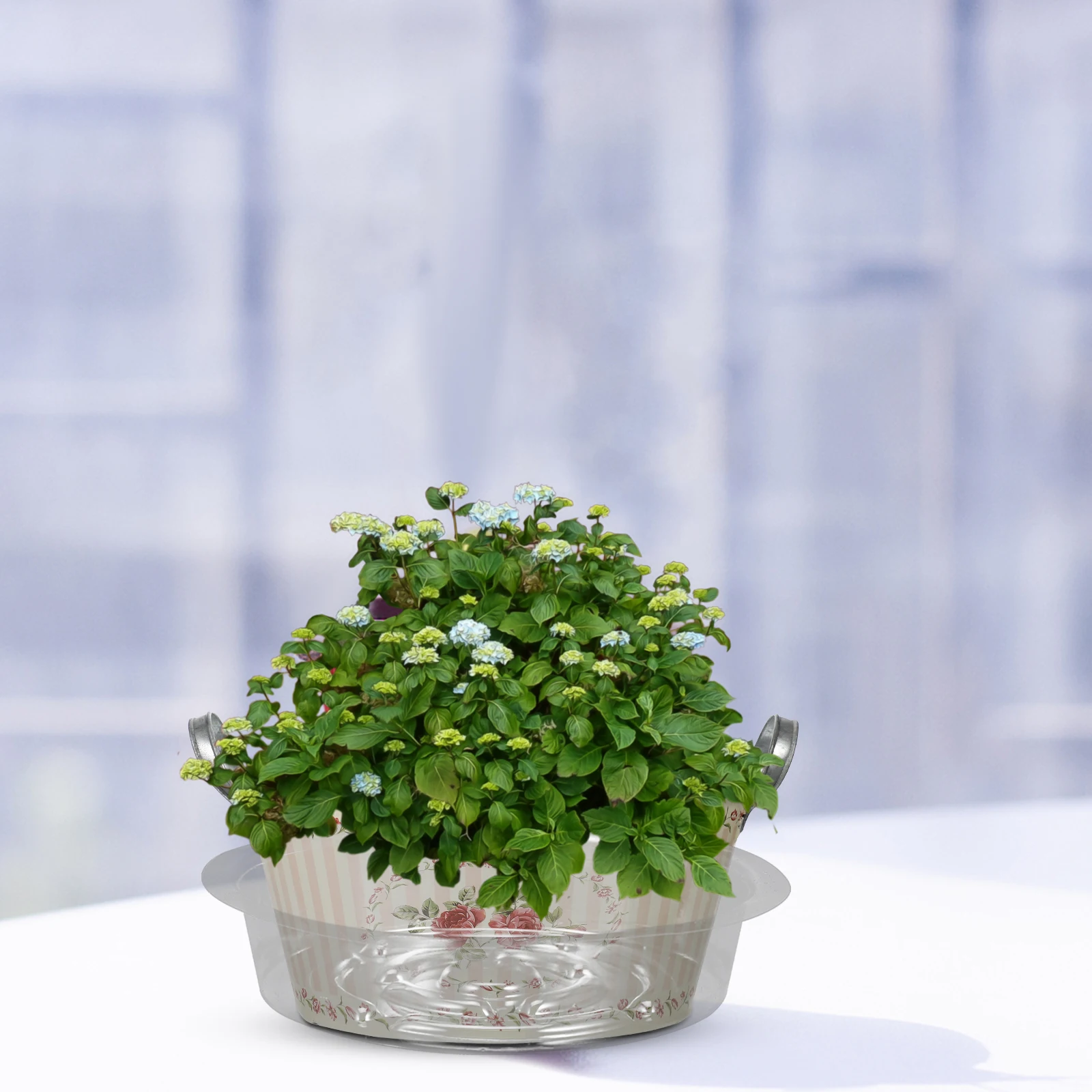 30 Pcs Trays Drip Pot Tray Saucers for Plate Indoor Plants No Holes Water Collectors Plant Saucer Plant Plates
30 Pcs Trays Drip Pot Tray Saucers for Plate Indoor Plants No Holes Water Collectors Plant Saucer Plant Plates