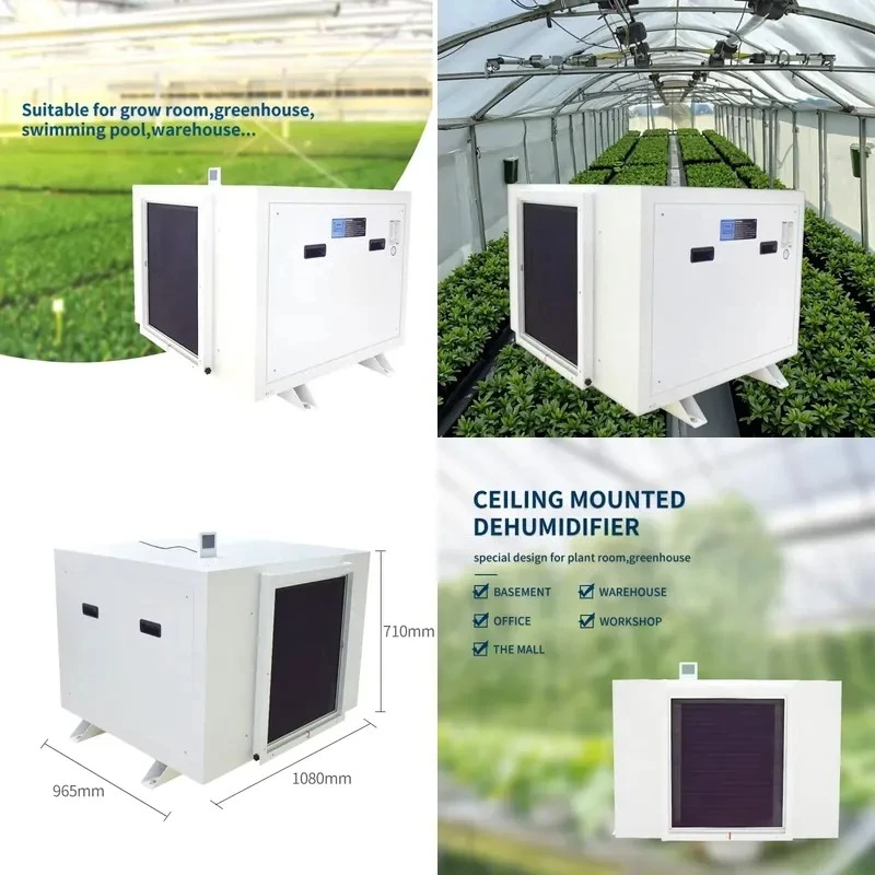 AP01 360L Per Day Ceiling Mounted Industrial Dehumidifier for Greenhouse Grow Rooms
AP01 360L Per Day Ceiling Mounted Industrial Dehumidifier for Greenhouse Grow Rooms