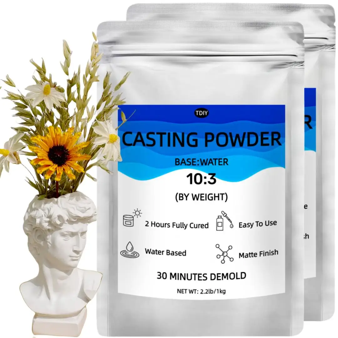 Plaster Powder for Casting, Fast Drying Mold Making Material, Fine Detail, Smooth Surface for DIY Handmade Projects
Plaster Powder for Casting, Fast Drying Mold Making Material, Fine Detail, Smooth Surface for DIY Handmade Projects