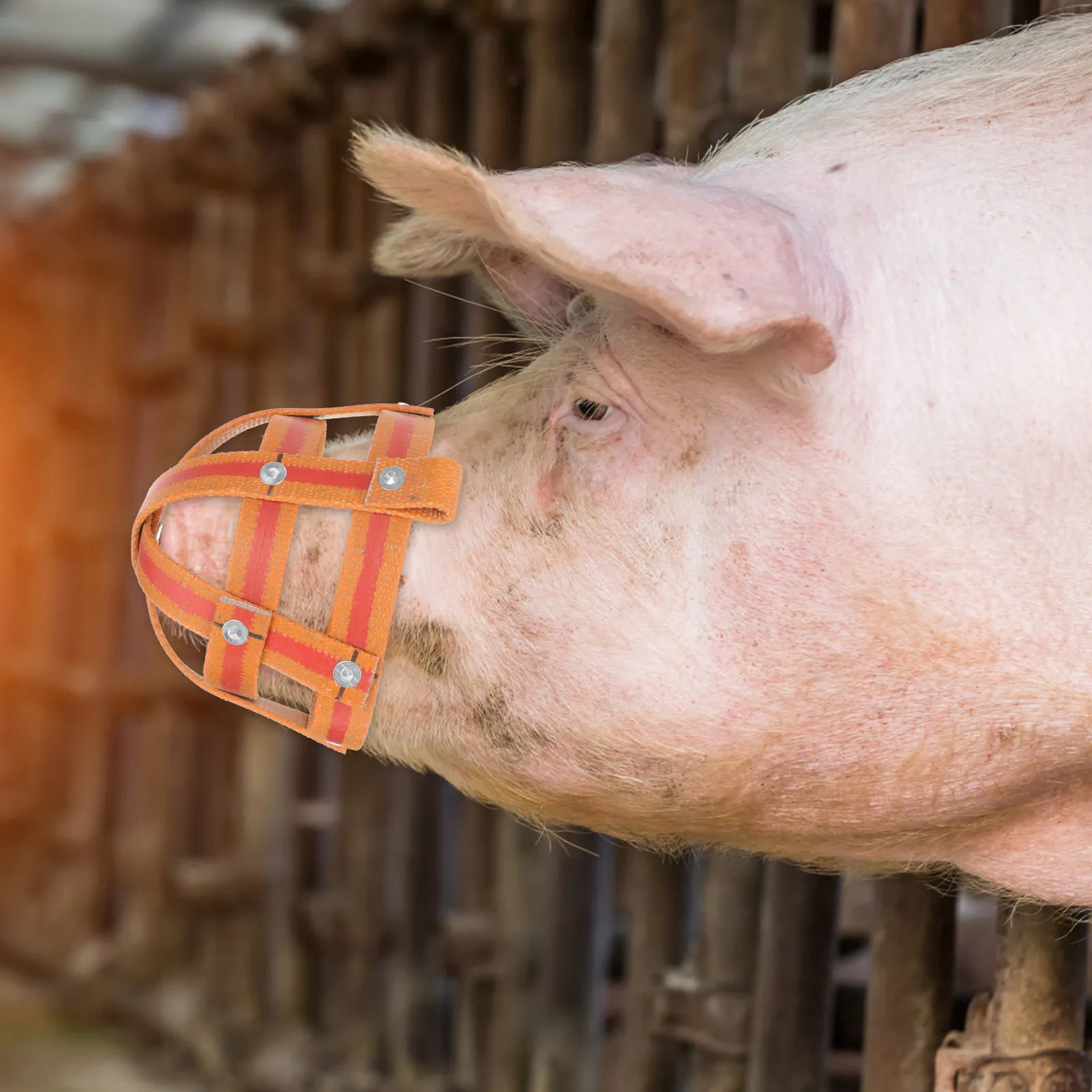 Anti-bite Pig Mouth Cover Durable Breathable Mesh Muzzle Livestock Farm Accessories Reusable Swine Supplies Portable Pet Tool
Anti-bite Pig Mouth Cover Durable Breathable Mesh Muzzle Livestock Farm Accessories Reusable Swine Supplies Portable Pet Tool