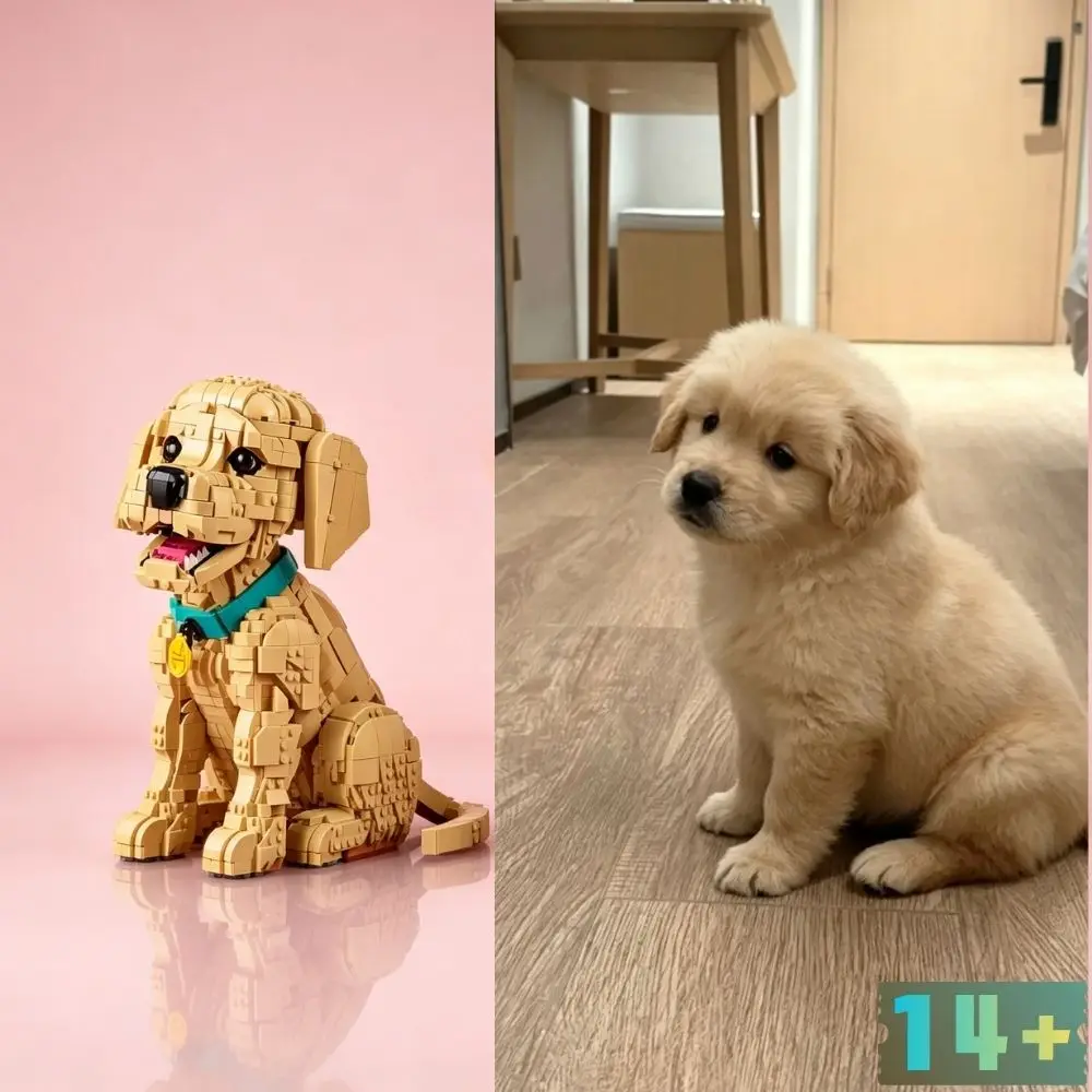 2102PCS Realistic Golden 11384 Retriever Puppy Building Set Creative Animal Model for Adult Collectors & Home Display
2102PCS Realistic Golden 11384 Retriever Puppy Building Set Creative Animal Model for Adult Collectors & Home Display