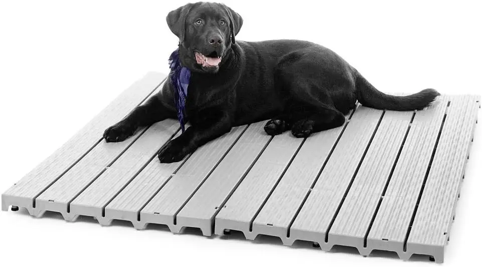 Durable Pet Kennel Deck: Sanitary & Aesthetically Pleasing Alternative to Concrete
Durable Pet Kennel Deck: Sanitary & Aesthetically Pleasing Alternative to Concrete