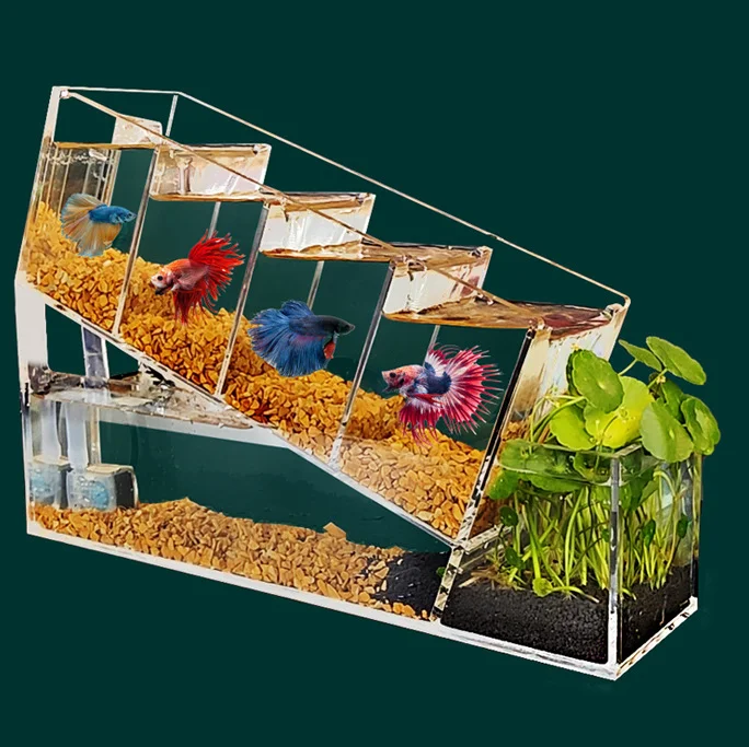 Small Multi Grid Betta Fish Tank Mixed Culture Isolation Circulating Filtration Acrylic Desktop Landscaping Decorative
Small Multi Grid Betta Fish Tank Mixed Culture Isolation Circulating Filtration Acrylic Desktop Landscaping Decorative