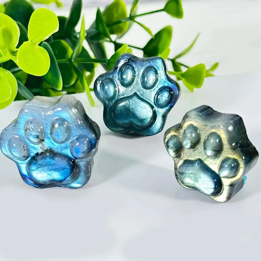 Carved Cat Paw Labradorite Pendant Bead, Natural Blue Flash Stone Charm for DIY Bracelet Necklace Accessories
Carved Cat Paw Labradorite Pendant Bead, Natural Blue Flash Stone Charm for DIY Bracelet Necklace Accessories