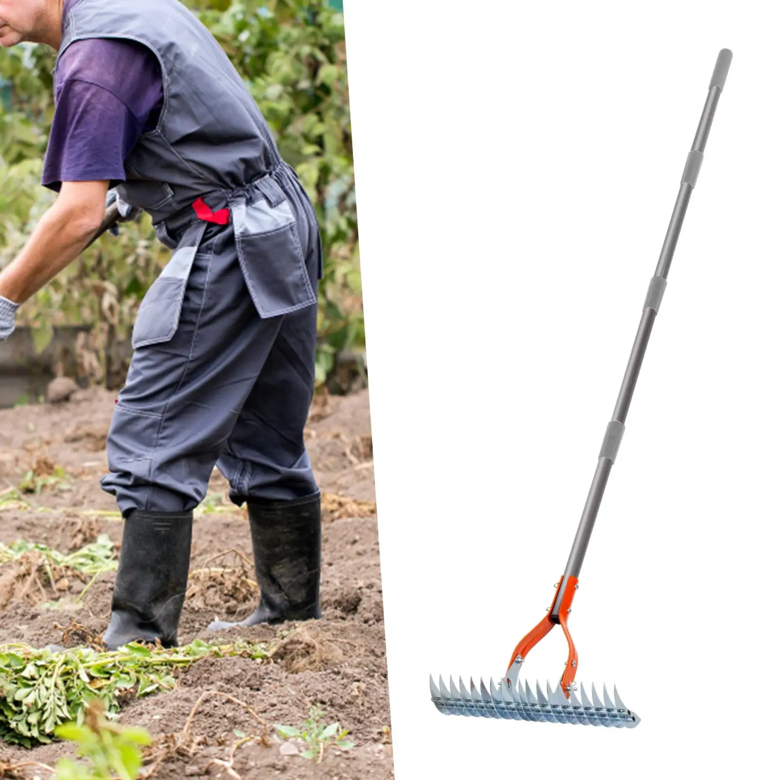 Thatch Rake Adjustable Length 101.5cm-177.8cm Dethatcher Rake for Loosening Soil Cleaning Grass Dethatching Lawn Grass Grooming
Thatch Rake Adjustable Length 101.5cm-177.8cm Dethatcher Rake for Loosening Soil Cleaning Grass Dethatching Lawn Grass Grooming