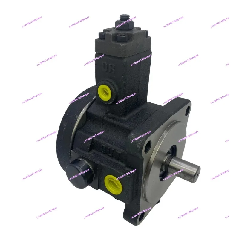 VCM-SF-20B-10 Oil Pump VCM-SF-30C-20
VCM-SF-20B-10 Oil Pump VCM-SF-30C-20