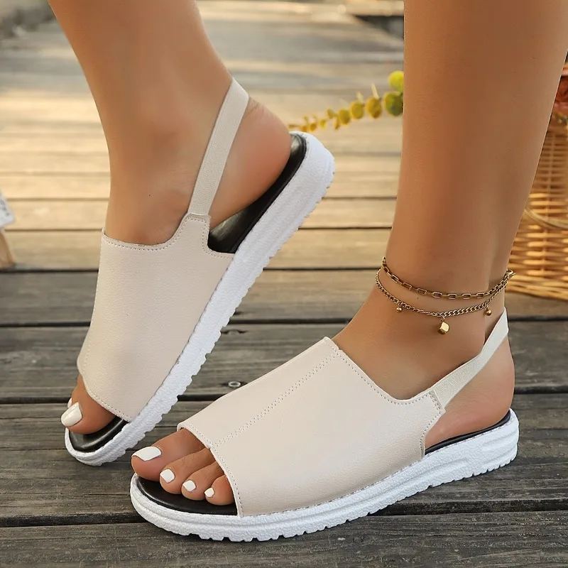 2025 Fashion Ladies Shoes Elastic Band New Open Toe Casual Sandals Women Summer Plus Size Comfortable Best Seller Flat Sandals
2025 Fashion Ladies Shoes Elastic Band New Open Toe Casual Sandals Women Summer Plus Size Comfortable Best Seller Flat Sandals