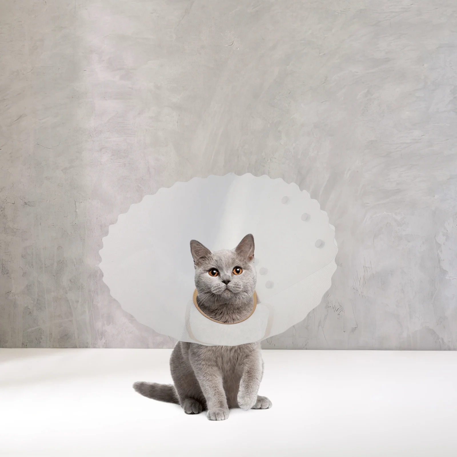 Elizabethan Collar for Pets Adjustable Soft Cat Dog Recovery Cone Postoperative Protection Collar Anti-Biting Licking
Elizabethan Collar for Pets Adjustable Soft Cat Dog Recovery Cone Postoperative Protection Collar Anti-Biting Licking