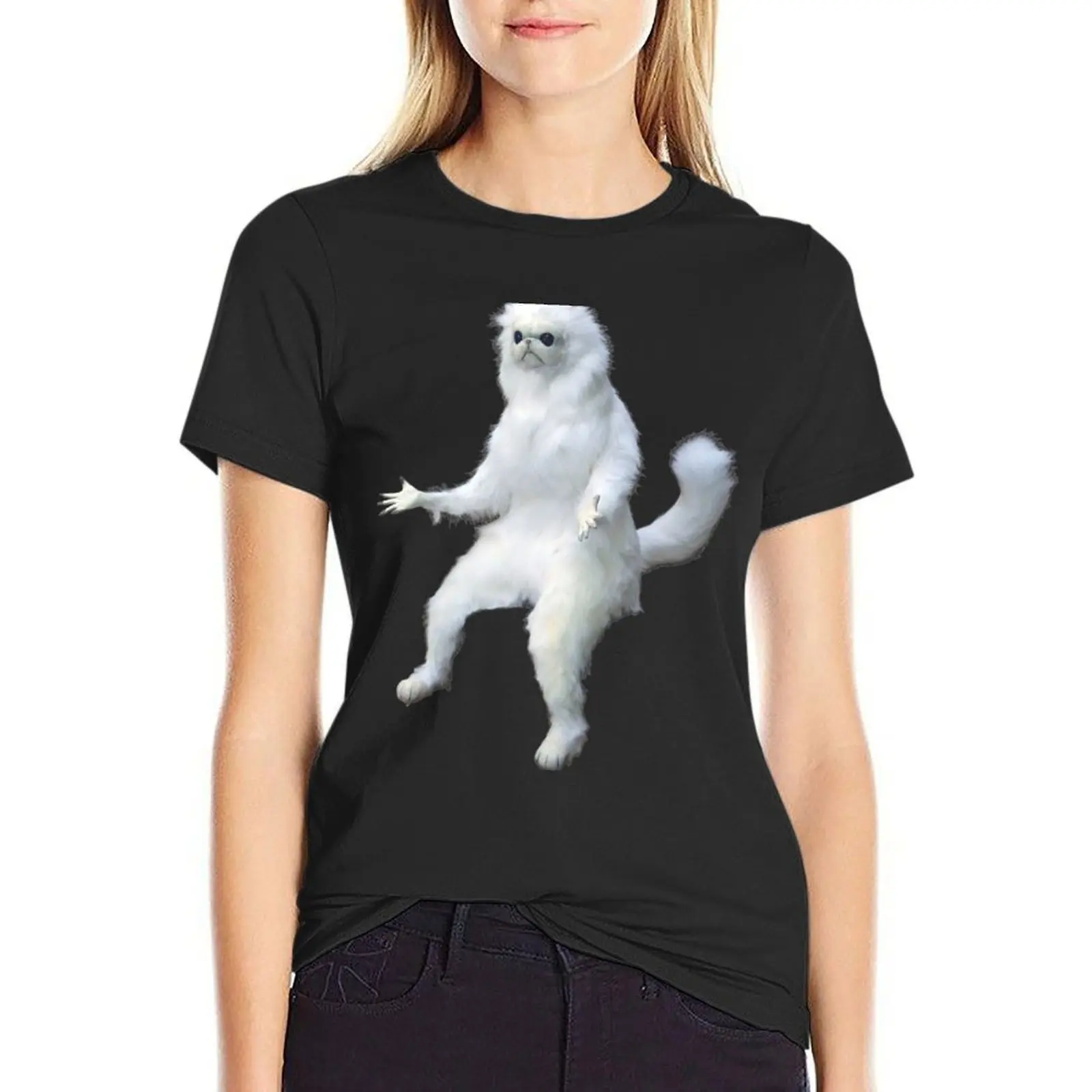 Persian Cat Room Guardian Meme T-Shirt vintage clothes female workout shirts for Women loose fit
Persian Cat Room Guardian Meme T-Shirt vintage clothes female workout shirts for Women loose fit
