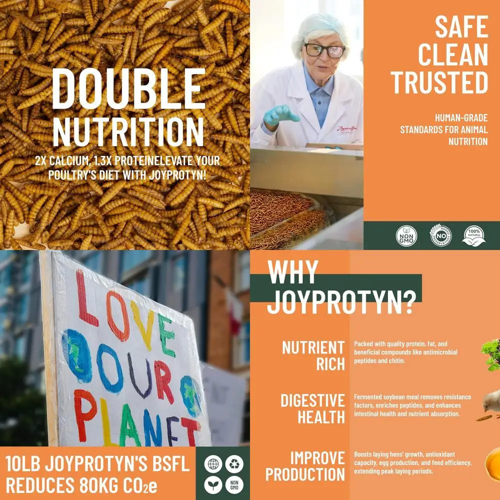 10LB Non-GMO Dried Black Soldier Fly Larvae for Chicken – 85X More Calcium Grubs Than Mealworms for Strong Eggshells & Healthy G
10LB Non-GMO Dried Black Soldier Fly Larvae for Chicken – 85X More Calcium Grubs Than Mealworms for Strong Eggshells & Healthy G