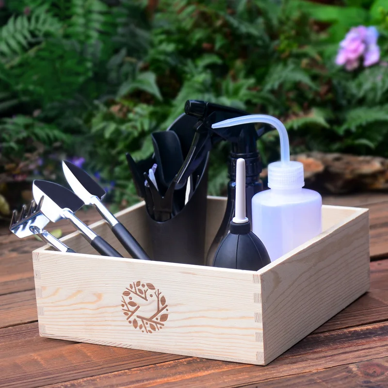Succulent plant gardening tool set combination, growing flowers and vegetables, mini combination, watering can, scissors
Succulent plant gardening tool set combination, growing flowers and vegetables, mini combination, watering can, scissors