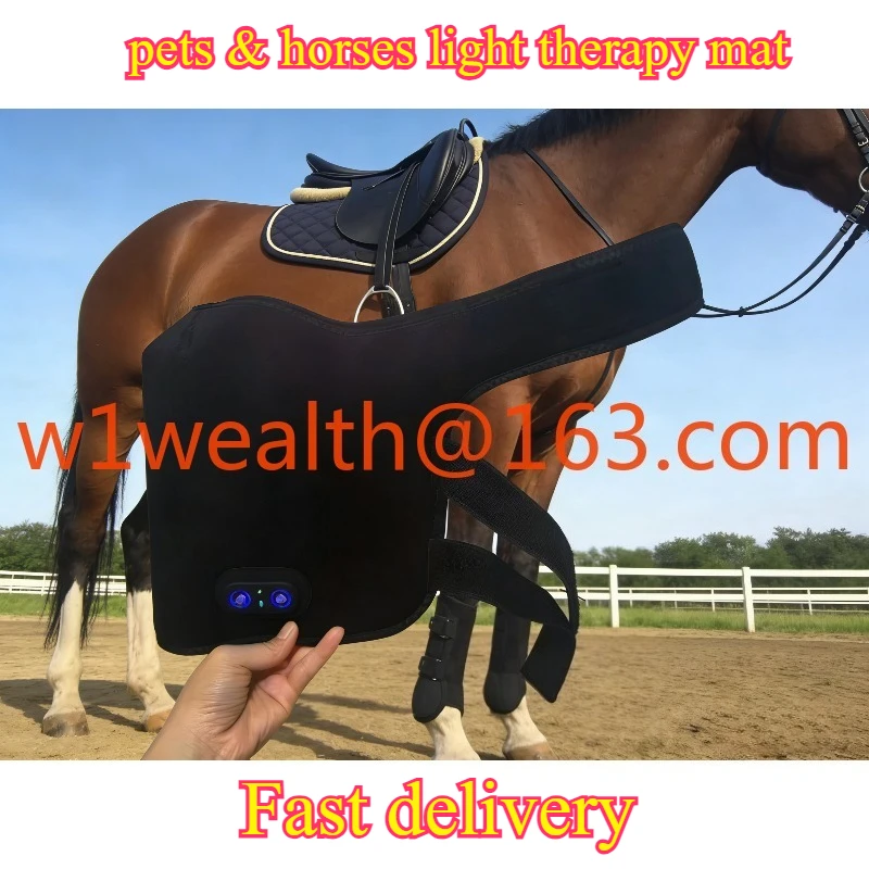 1 pair Rechargeable led red & near-infrared light therapy mat for pets & horses - pain relief, recovery, and wound healing
1 pair Rechargeable led red & near-infrared light therapy mat for pets & horses - pain relief, recovery, and wound healing