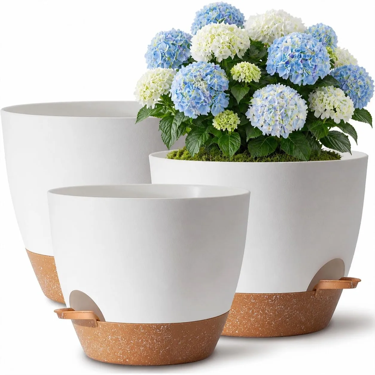 Self Watering Plant Pots Set of 3, 12/10/9 Inch Flower Planters with Drainage Holes and Saucer Reservoir for Indoor Outdoor Use,
Self Watering Plant Pots Set of 3, 12/10/9 Inch Flower Planters with Drainage Holes and Saucer Reservoir for Indoor Outdoor Use,