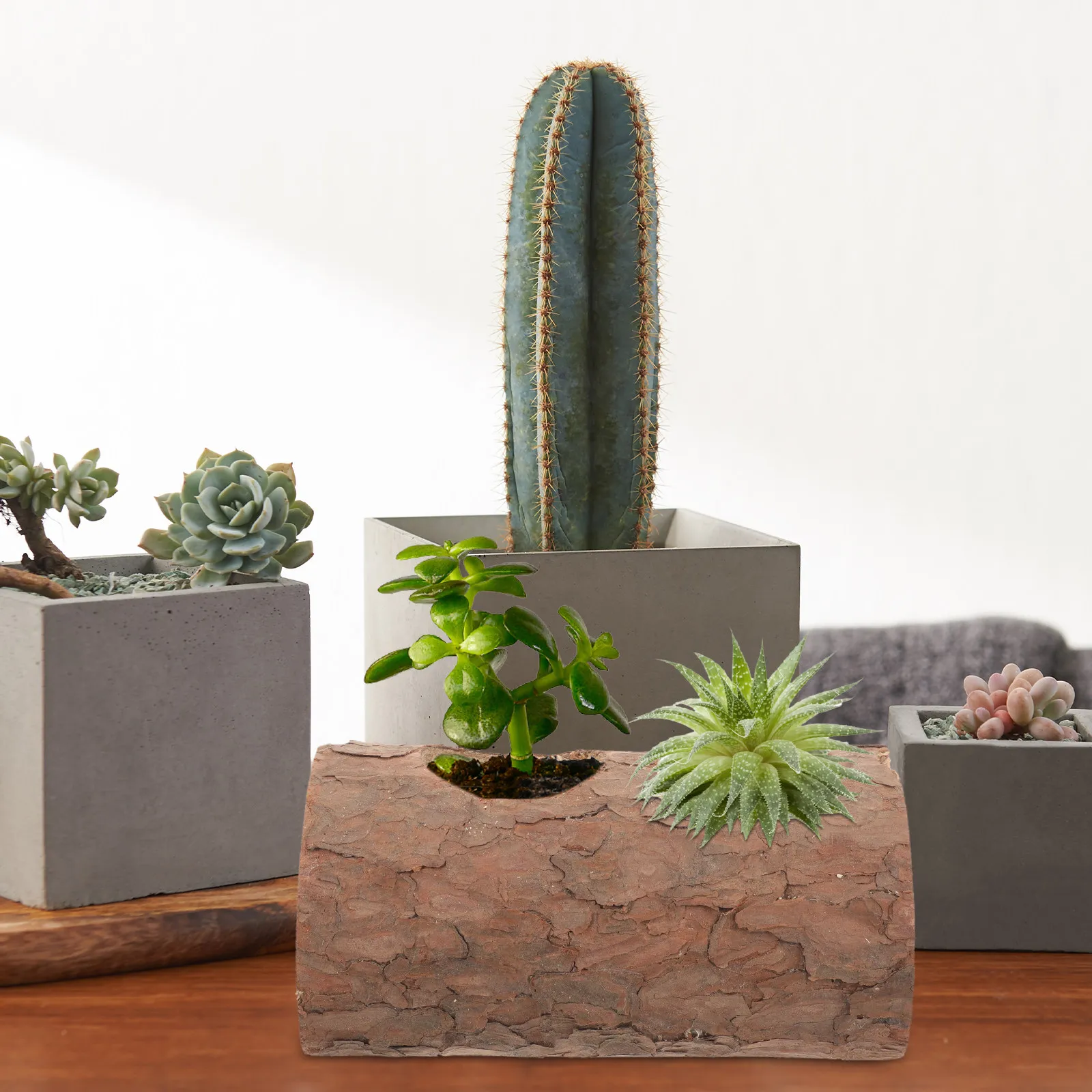 Vintage Wooden Stump Planter Tabletop Flowerpot Inner Diameter 6Cm Drainage Holes for Succulents Bonsai Home Office Decor
Vintage Wooden Stump Planter Tabletop Flowerpot Inner Diameter 6Cm Drainage Holes for Succulents Bonsai Home Office Decor