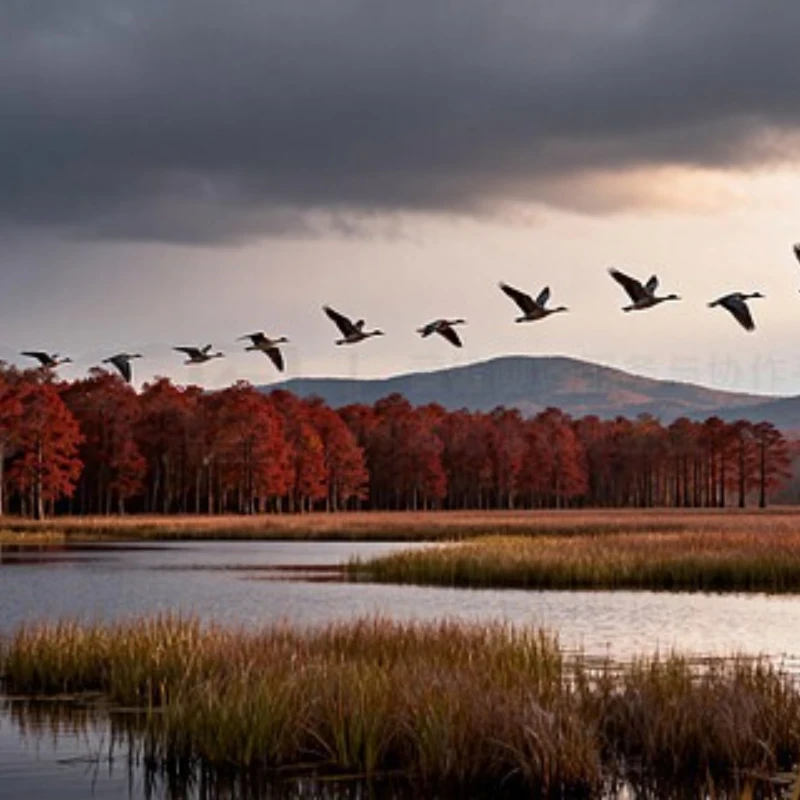 Axisflying MANTA5 5 Inch FPV Freestyle DeadCat DC Type 229mm Frame Kit O3 Air Unit HD Long Range RC FPV Freestyle Drone
Axisflying MANTA5 5 Inch FPV Freestyle DeadCat DC Type 229mm Frame Kit O3 Air Unit HD Long Range RC FPV Freestyle Drone