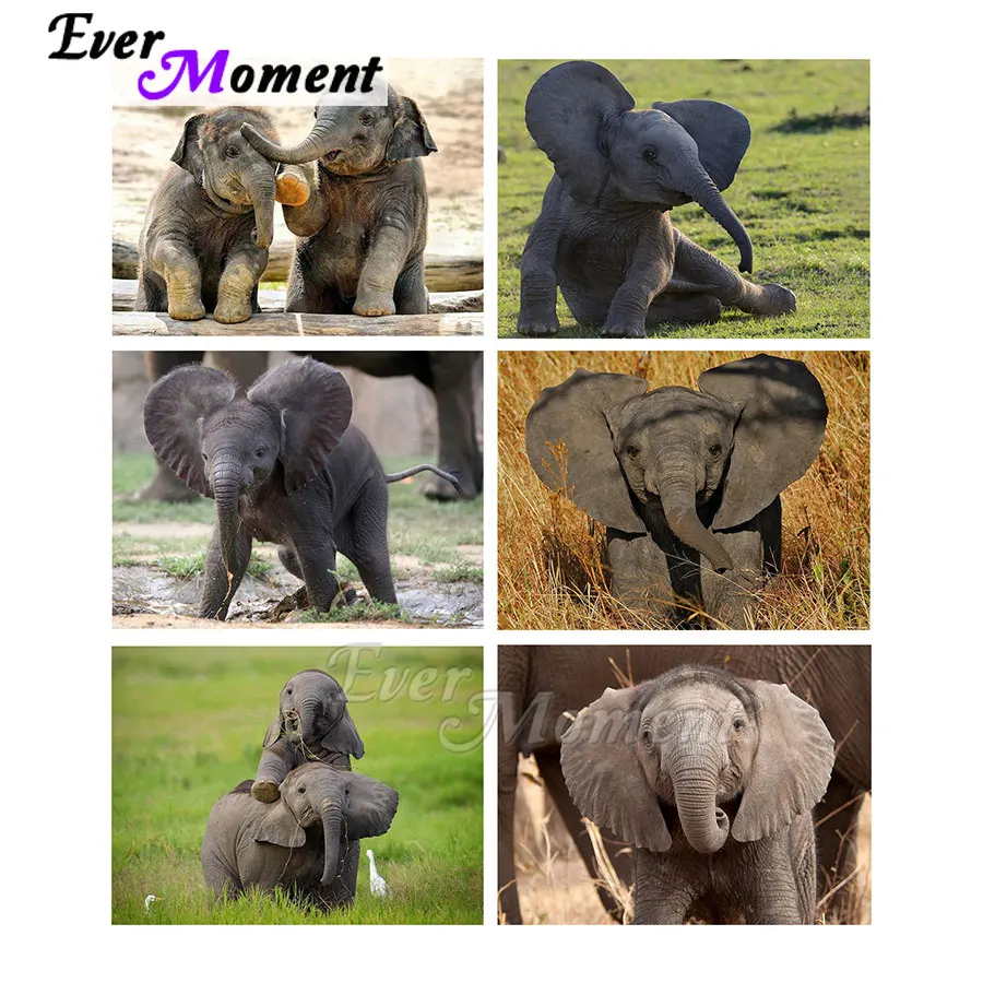 Ever Moment Diamond Mosaic Painting Rhinestone Wall Picture Embroidery Cross Stitch Kits Animal Nature Cute Elephant DIY ASF2347 
Ever Moment Diamond Mosaic Painting Rhinestone Wall Picture Embroidery Cross Stitch Kits Animal Nature Cute Elephant DIY ASF2347