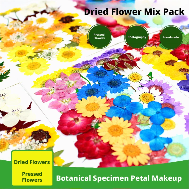 35Pcs Colorful Mixed Dried Flower and Pressed Flower Material Pack DIY Combination Pack Pressed Flower Phone Case Photo Stickers Real Flower Materials Photo Frame Decorations
35Pcs Colorful Mixed Dried Flower and Pressed Flower Material Pack DIY Combination Pack Pressed Flower Phone Case Photo Stickers Real Flower Materials Photo Frame Decorations