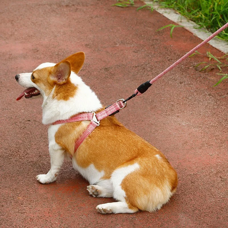 Pet Dog Leash Retractable Leash Dog Walking Rope Large, Medium And Small Dog Chain Supplies
Pet Dog Leash Retractable Leash Dog Walking Rope Large, Medium And Small Dog Chain Supplies