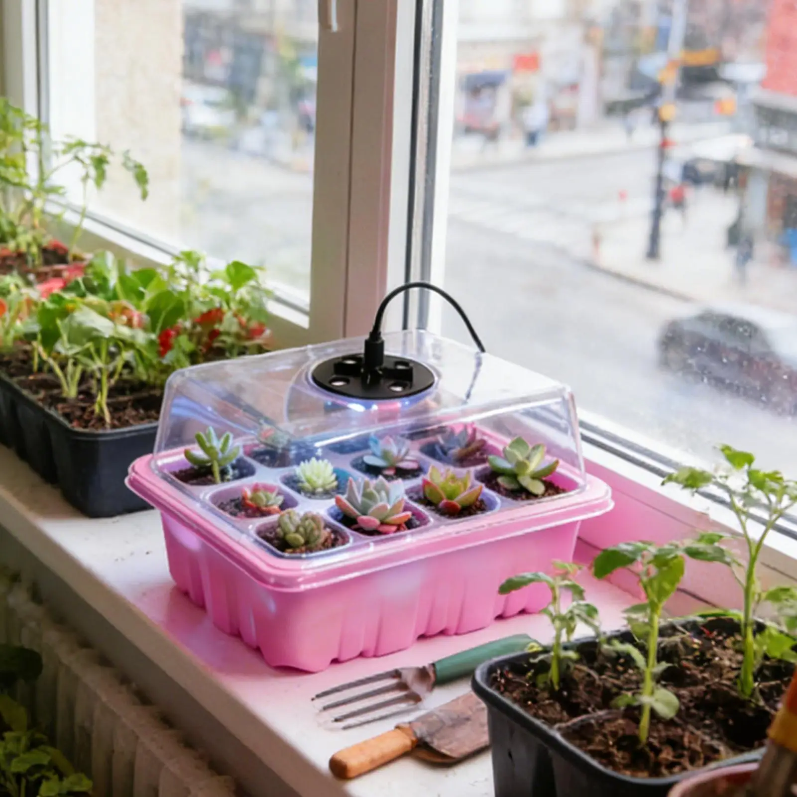 Набор для выращивания рассады: высокий лоток для проращивания с легким дренажем и фитолампами для домашнего садоводства и выращивания на балконе
Набор для выращивания рассады: высокий лоток для проращивания с легким дренажем и фитолампами для домашнего садоводства и выращивания на балконе