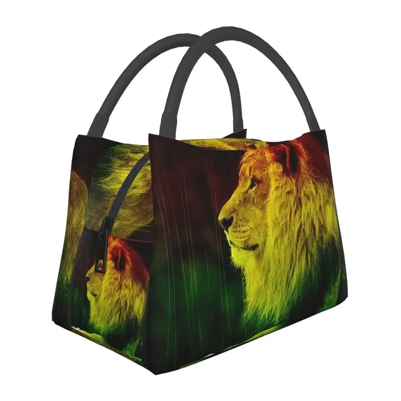 Rastafarian Amaiquina Reggae Rasta Lion Street Skullies изолированная сумка для обеда для женщин портативный холодильник термобокс для обеда путешествия
Rastafarian Amaiquina Reggae Rasta Lion Street Skullies изолированная сумка для обеда для женщин портативный холодильник термобокс для обеда путешествия