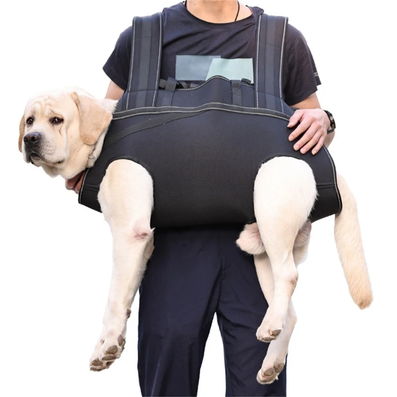 Adjusting Dog Walking Legs Support Slings for Dog Injuries Joint Recovery Tool
Adjusting Dog Walking Legs Support Slings for Dog Injuries Joint Recovery Tool