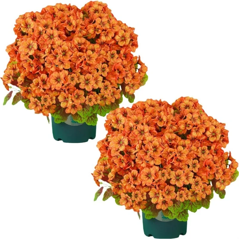 Outdoor Artificial Topiary Potted Fake Geraniums Bush UV Resistant Front Porch Garden Yard Patio Decor Light Orange
Outdoor Artificial Topiary Potted Fake Geraniums Bush UV Resistant Front Porch Garden Yard Patio Decor Light Orange