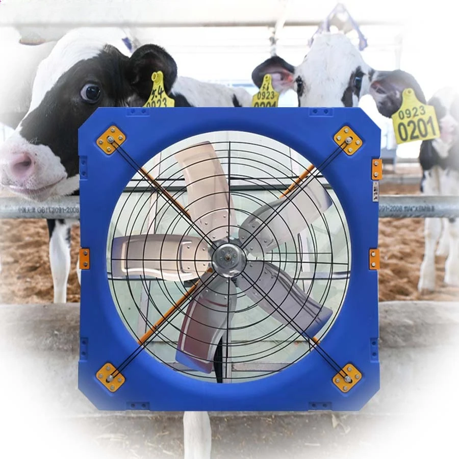 Dairy Barn Farm Ventilation Cooling Suspended Ventilation Exhaust Fan Steel Axial Flow Fan for Cowshed
Dairy Barn Farm Ventilation Cooling Suspended Ventilation Exhaust Fan Steel Axial Flow Fan for Cowshed
