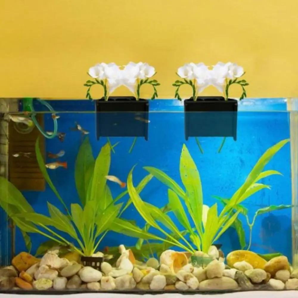 With Integrated Hook Aquarium Planter Black Plastic Aquatic Plant Pot with Hole Hanging Aquarium Plant Holder Fish Tank 
With Integrated Hook Aquarium Planter Black Plastic Aquatic Plant Pot with Hole Hanging Aquarium Plant Holder Fish Tank