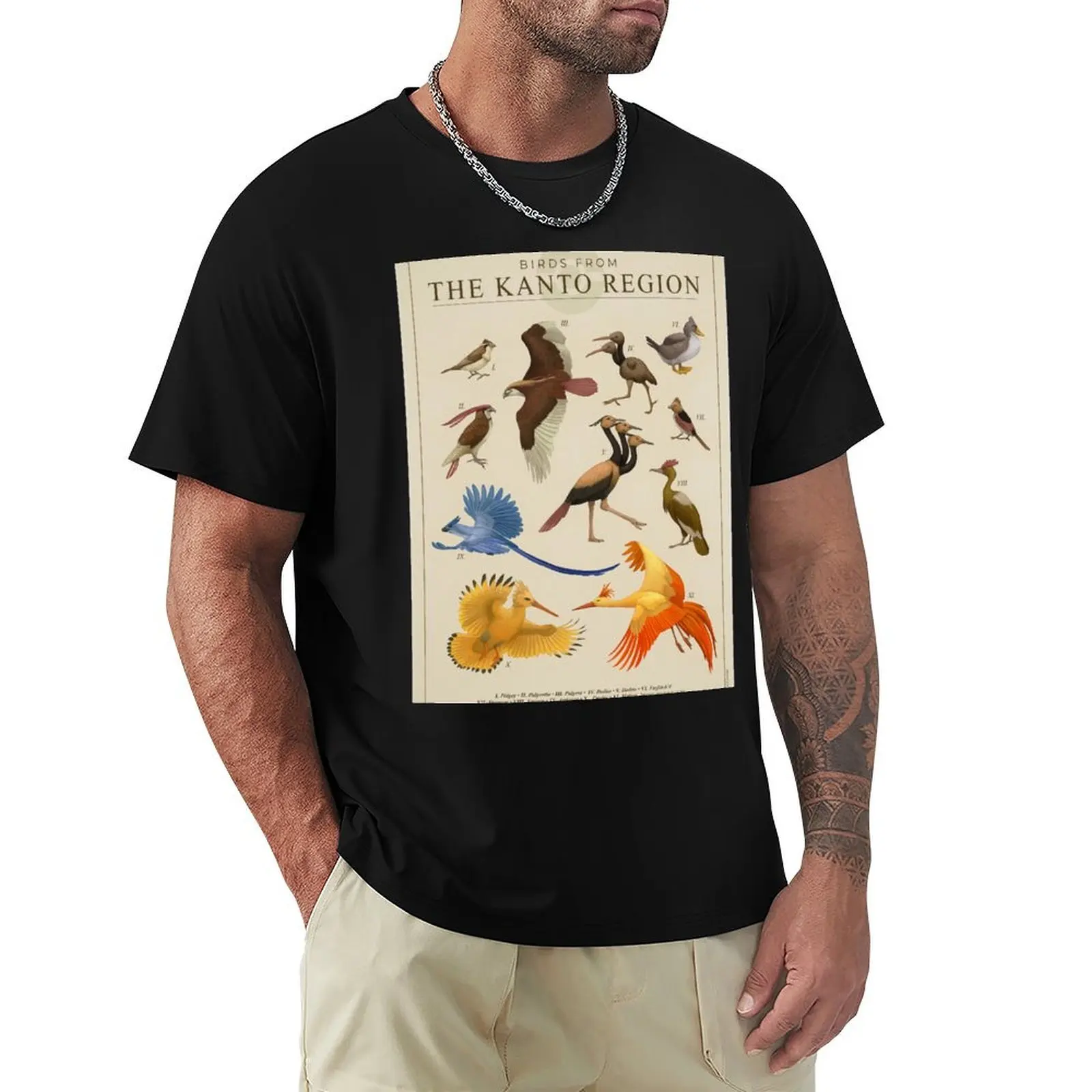 Birds of Kanto T-Shirt Large Size Casual Short Sleeve Top
Birds of Kanto T-Shirt Large Size Casual Short Sleeve Top